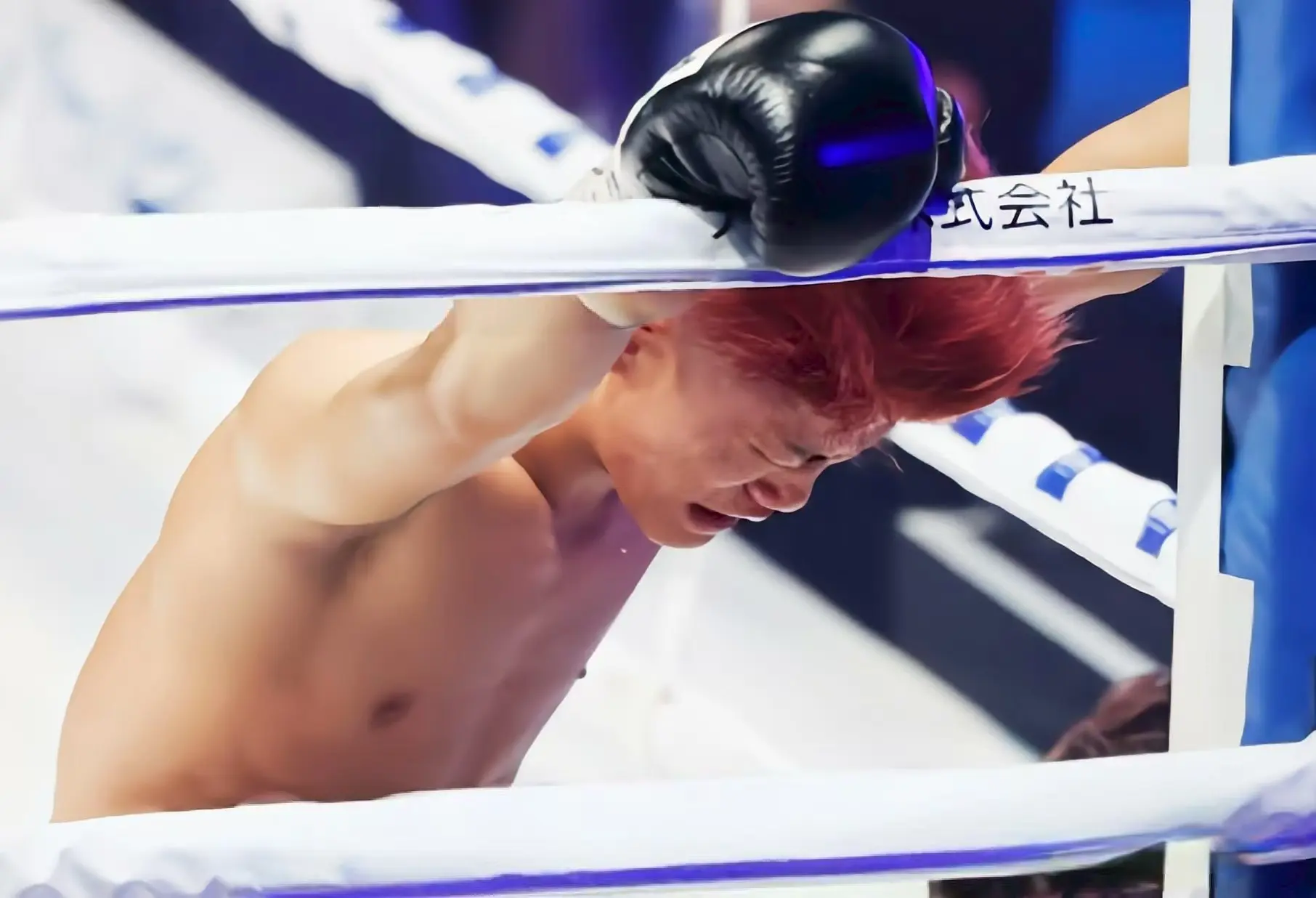 他实施了脑, 情更新, entit