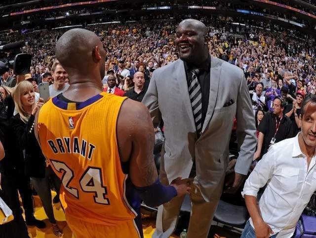 入赛场的猛 入赛场的猛